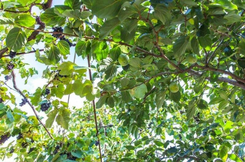 Гостевые комнаты «Прибойная 8»