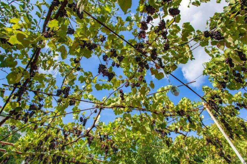 Гостевые комнаты «Прибойная 8»