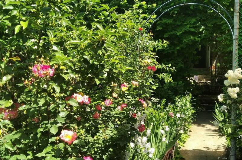 Домик на Лесной 27