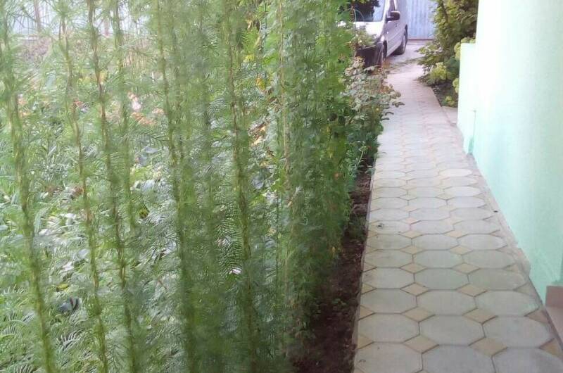 Гостевой дом «У реки Вулан»