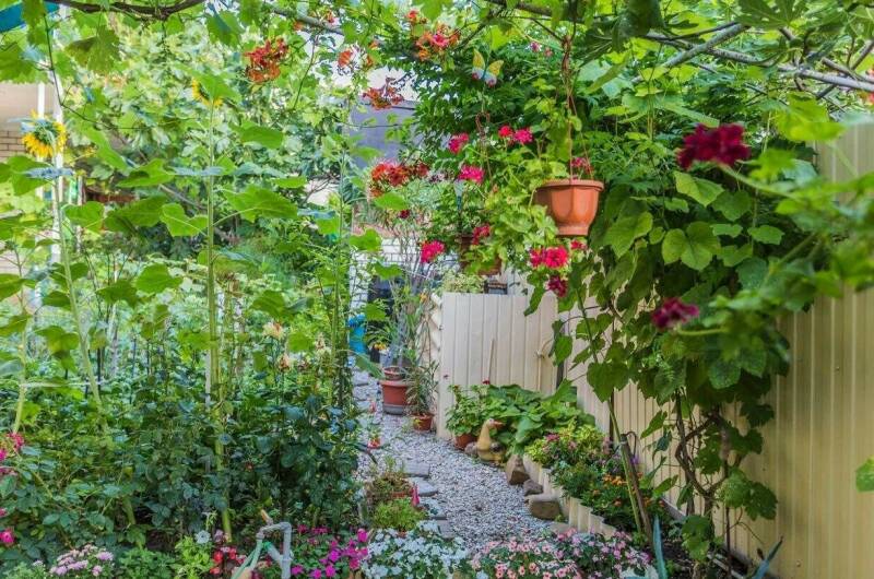 Гостевой дом «Георгий»