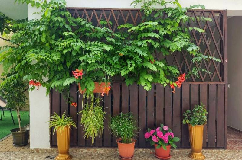 Гостевой дом «Одиссей»