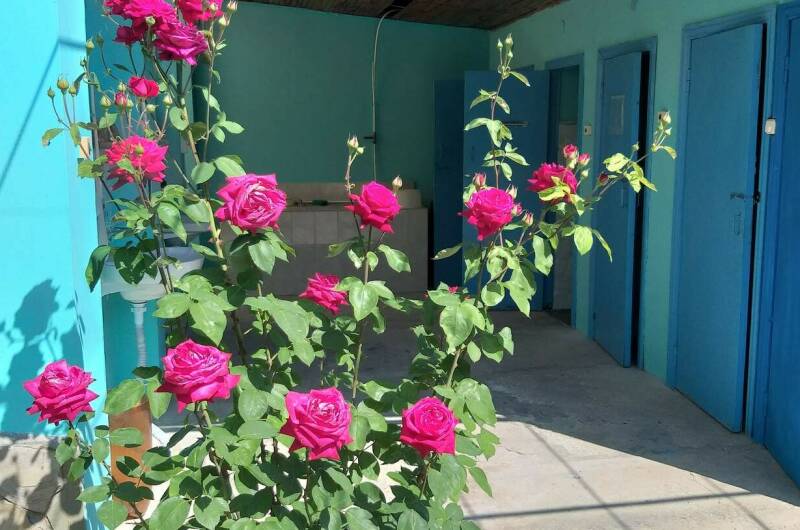 Частное домовладение «Глухой 5»