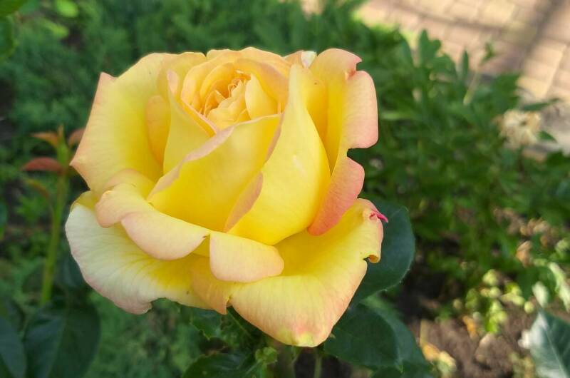 Частное домовладение «Глухой 5»