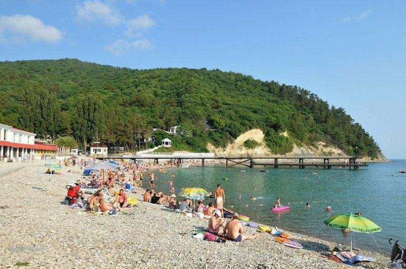 Кемпинг «Море сосен»