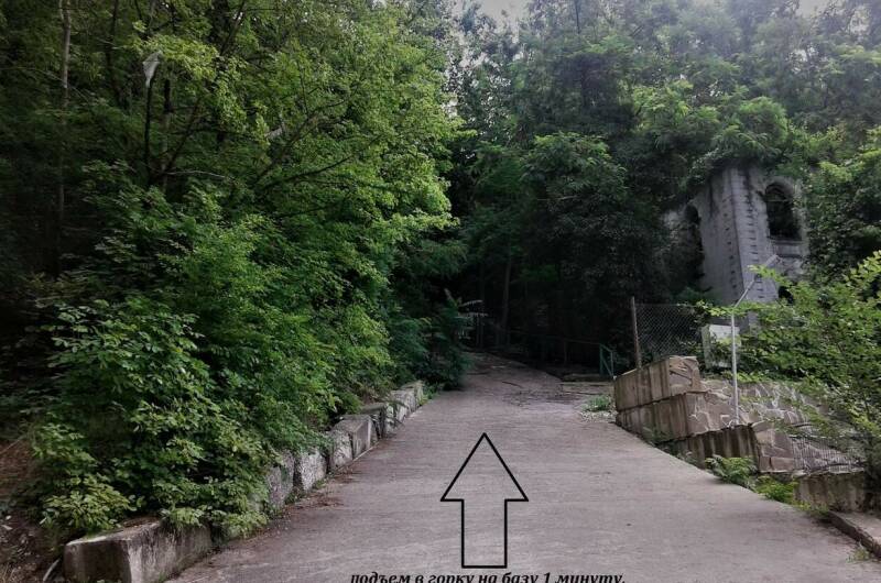 Кемпинг «Море сосен»