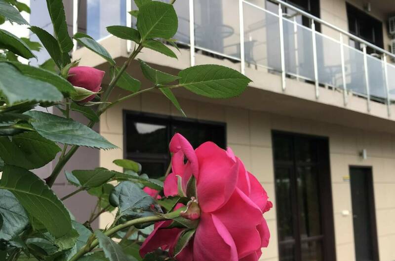 Частный дом «Шоколад»