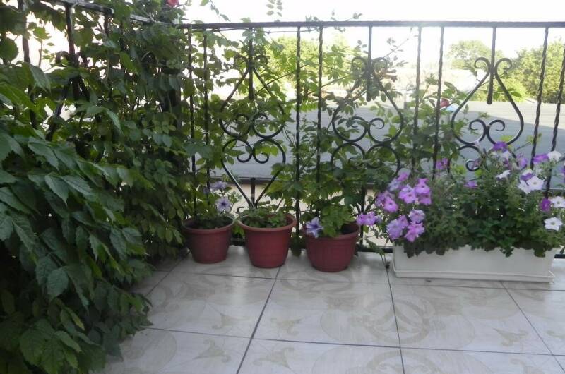 Гостевой дом «Лагрейн»