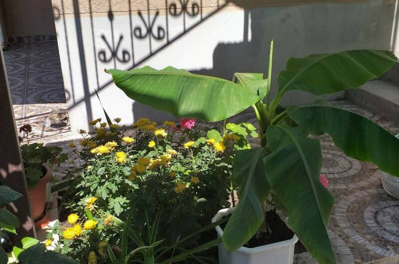 Этаж под ключ «Марина»