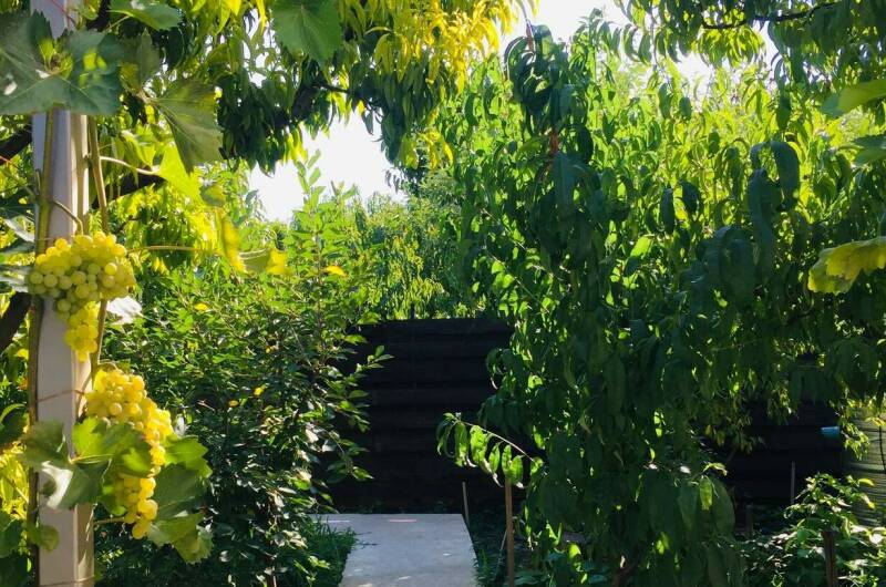 Дом под ключ «Прованс»