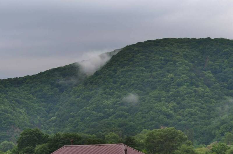 Гостевой дом «Морской»