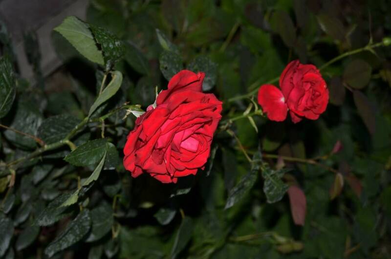 Гостевой дом «Юджин»