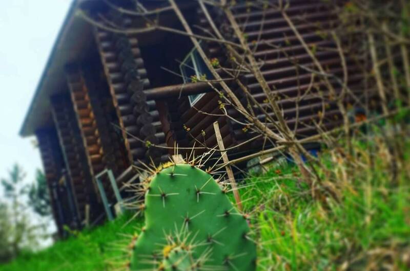 ЭкоУсадьба «Сказка»