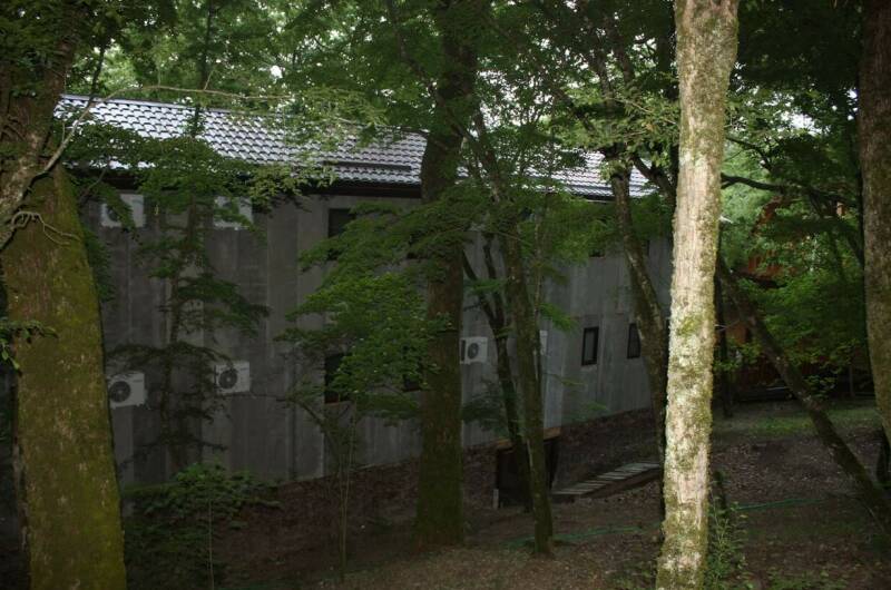 Гостевой дом «Дом в лесу»