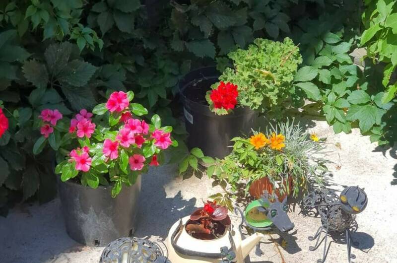 Частный сектор «У Натальи»