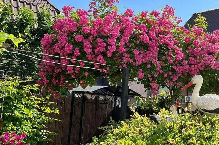 Частный сектор «У Натальи»