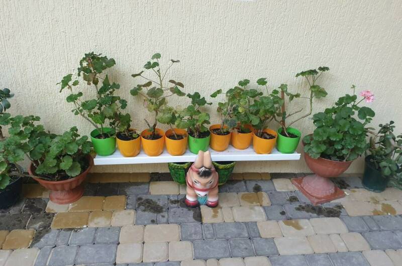 Гостевой дом «Надежда»