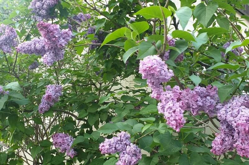 Гостевой дом «Надежда»