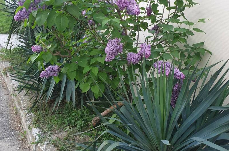 Гостевой дом «Надежда»