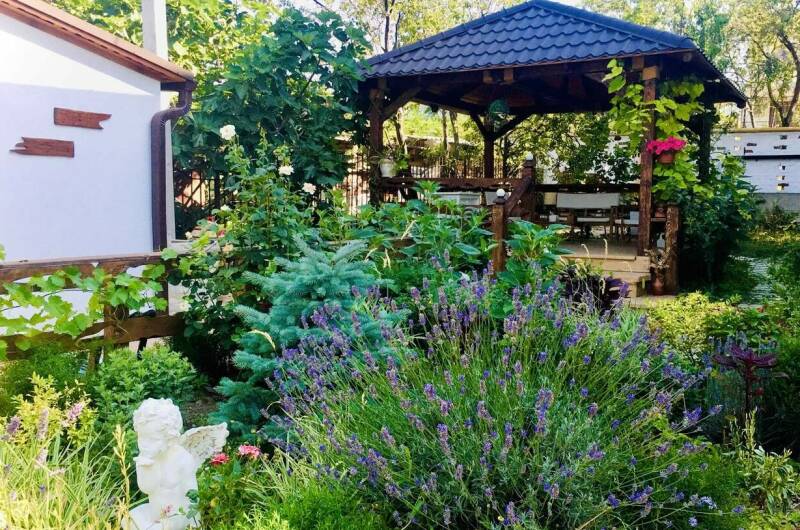 Гостевой дом «Терраса»