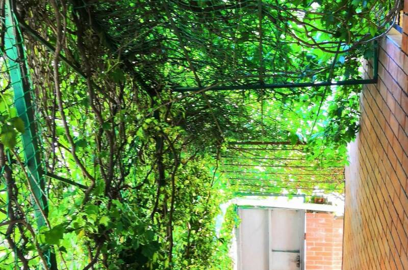 Гостевой дом «Южанка»