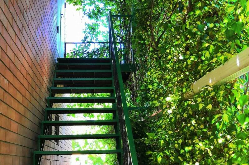 Гостевой дом «Южанка»