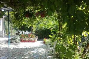 Изображение Гостевой дом «На Армейской» #2