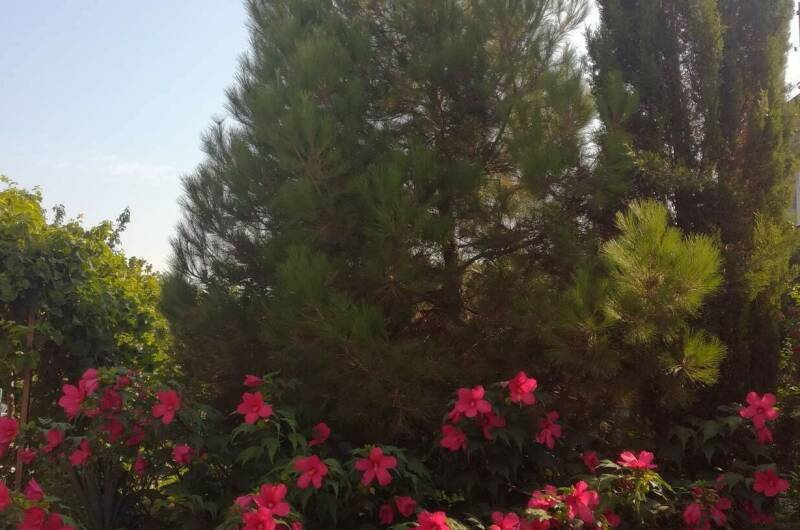 Гостевой дом «На Армейской»