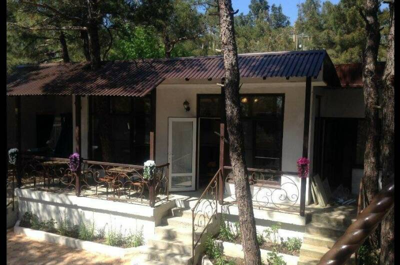 Частный дом «В сосновом бору»