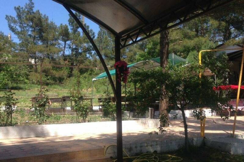 Частный дом «В сосновом бору»