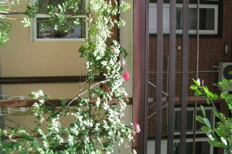 Частный сектор на Тельмана