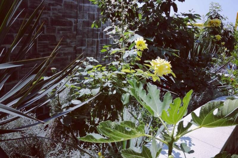 Гостевой дом #NeNaSevere