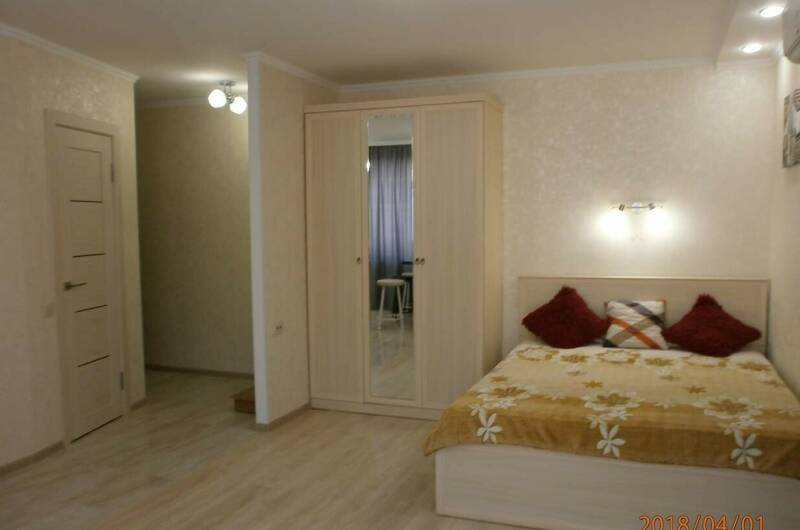 Однокомнатная квартира в центре (Дом книги)