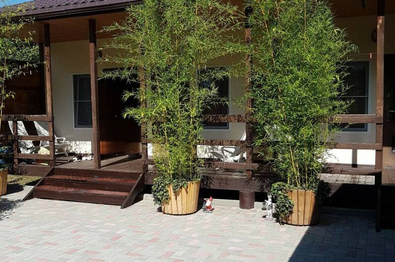 Гостевой дом «Светлая 5»