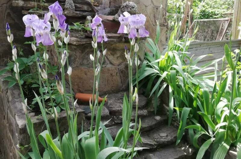 Часть дома под ключ