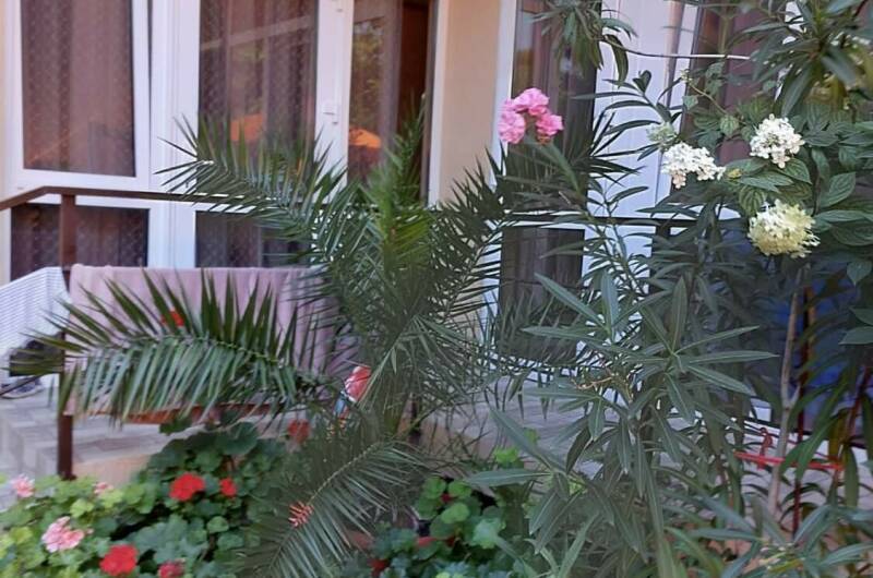 Гостевой дом «Надежда»