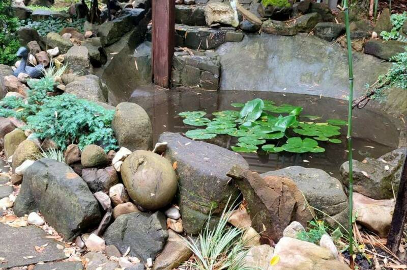 Гостевой дом «Зелёный остров»