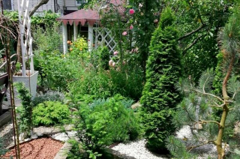 Гостевой дом «Зелёный остров»