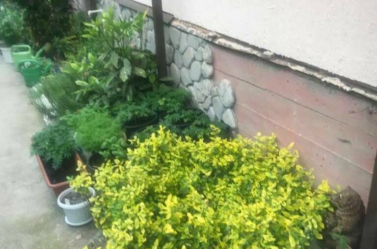 Гостевой дом «Итальянский Дворик»