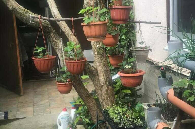 Гостевой дом «Итальянский Дворик»