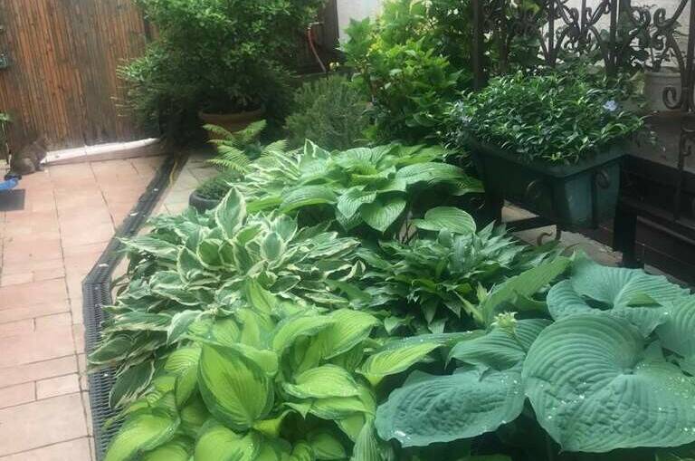 Гостевой дом «Итальянский Дворик»