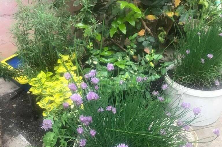 Гостевой дом «Итальянский Дворик»