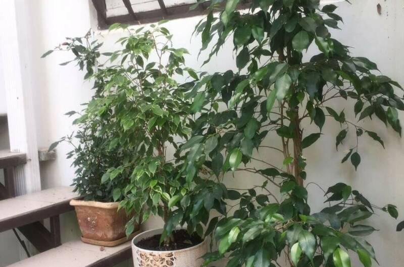 Гостевой дом «Итальянский Дворик»