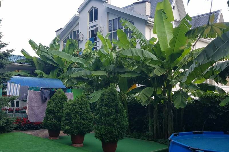 Гостевой дом «Сосновый рай»