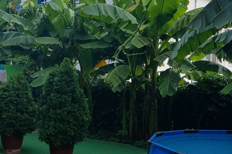 Гостевой дом «Сосновый рай»