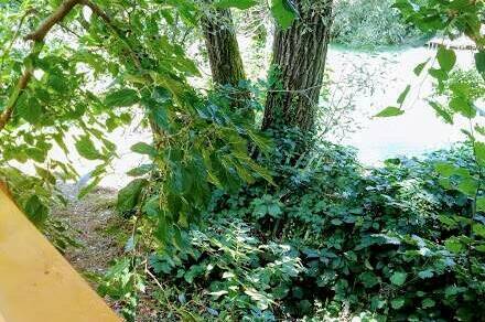 Гостевой дом «Лукоморье у реки»