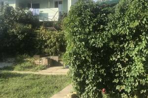 Изображение Частный двор на пер. Михайловский #3