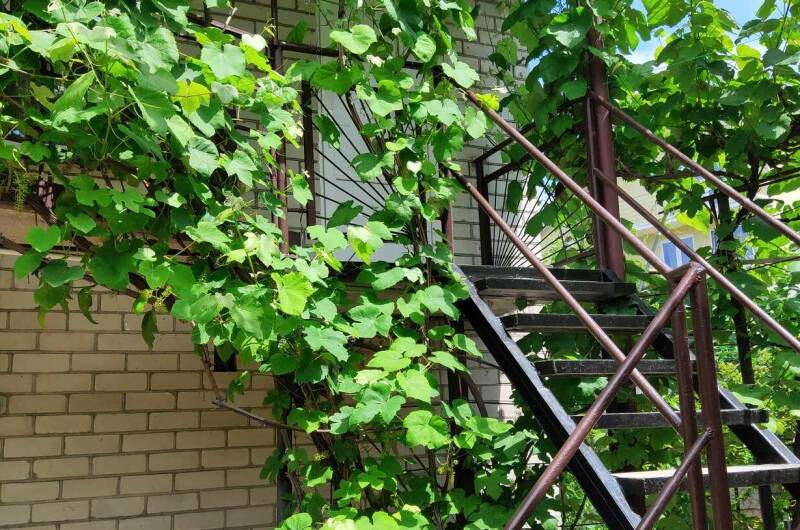 Гостевой дом «На Полевой»