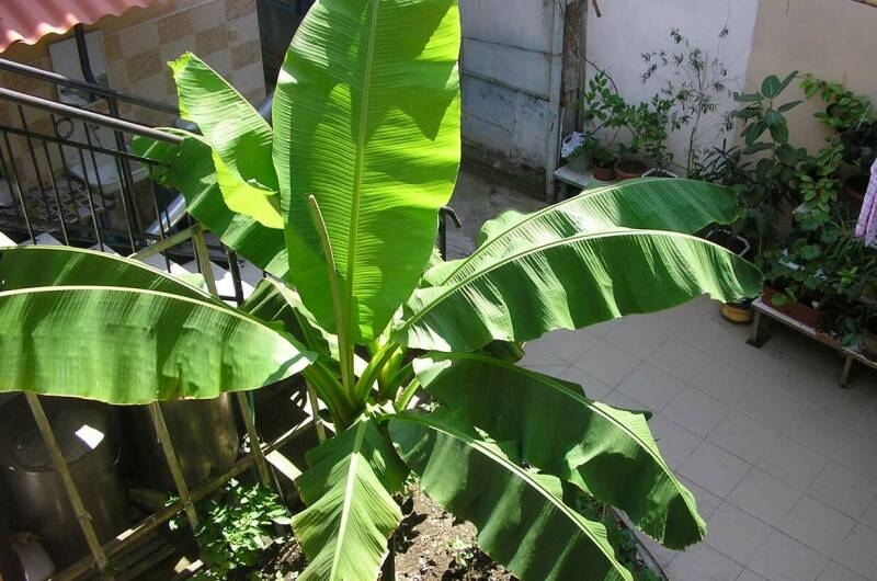 Гостевой дом на Толстого 32 А