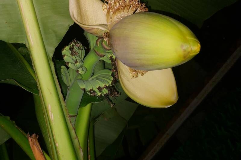 Гостевой дом «Прайд»